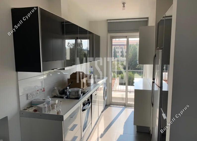 2 bedroom apartment for rent agios andreas nicosia nicosia 1468145 image 10501234