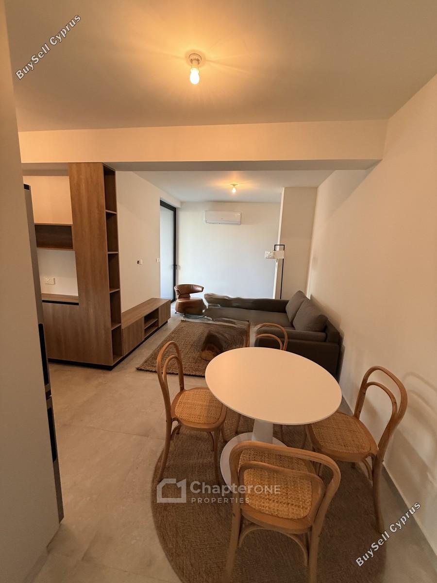 1 bedroom apartment for rent strovolos nicosia 8598245 image 16338792