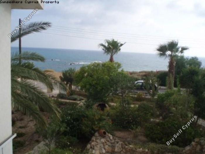 3 bedroom detached house for sale coral bay paphos 8560245 image 15575606