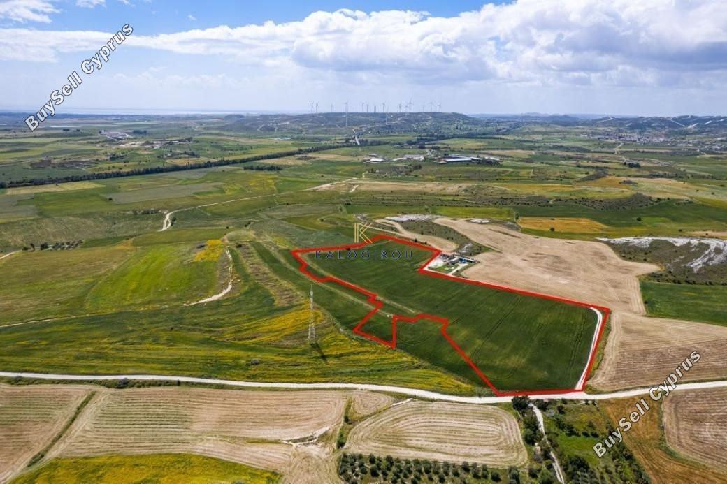 land for sale kalo chorio larnacas larnaca 1196245 image 14188430