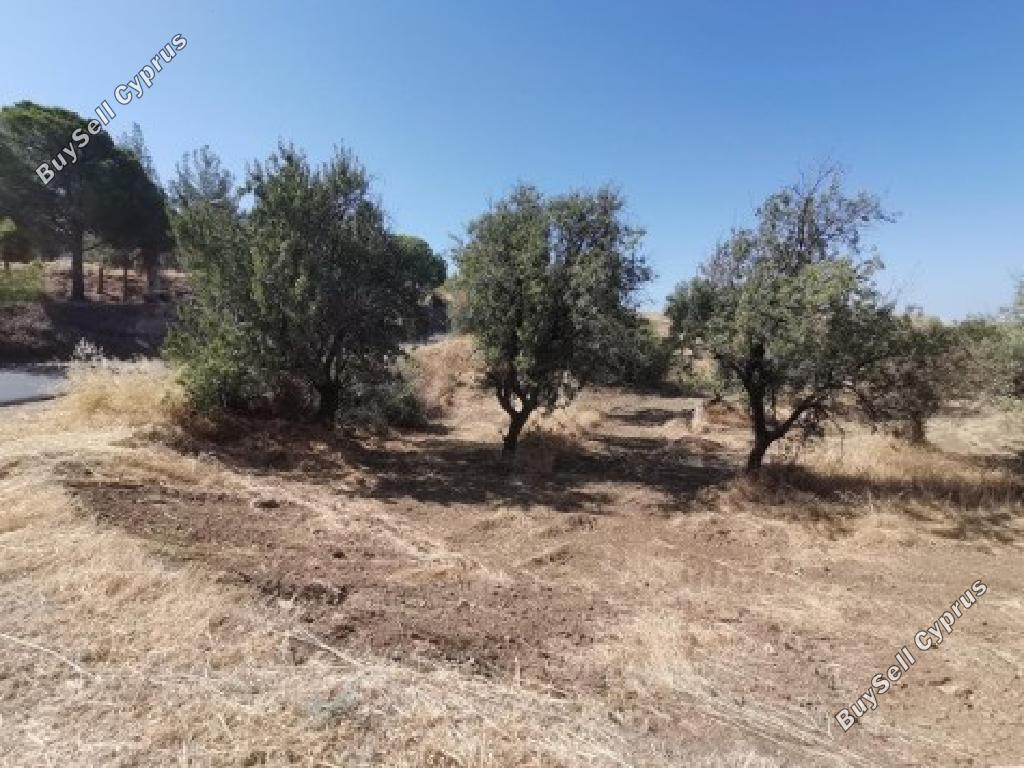 land for sale gialia paphos 946345 image 17103100