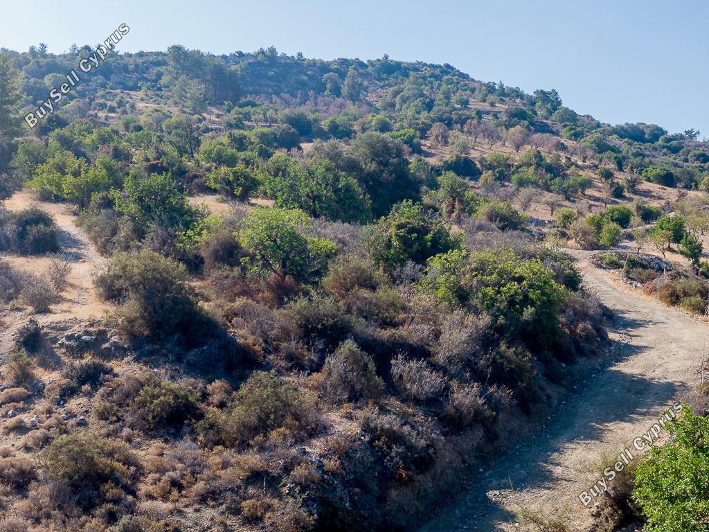 land for sale meladia paphos 1907445 image 15597357