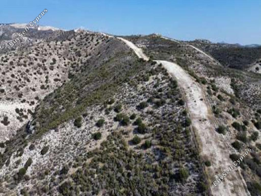 land for sale tochni larnaca 1353445 image 17396924