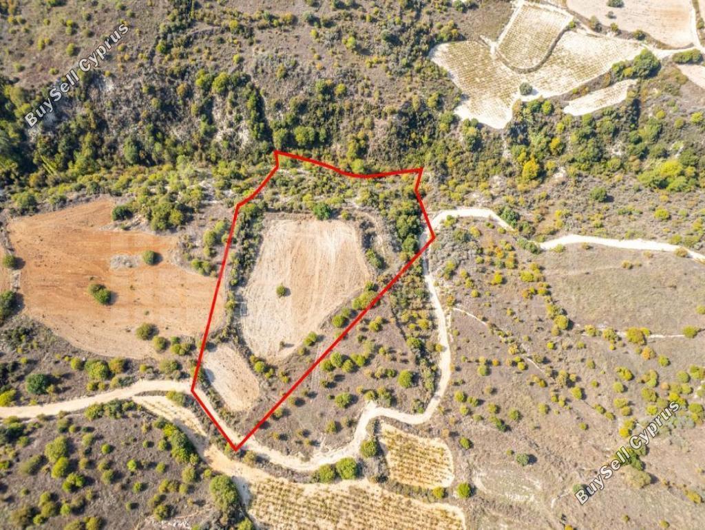 14047 SQM Plot for sale in Dora, Limassol 15885115