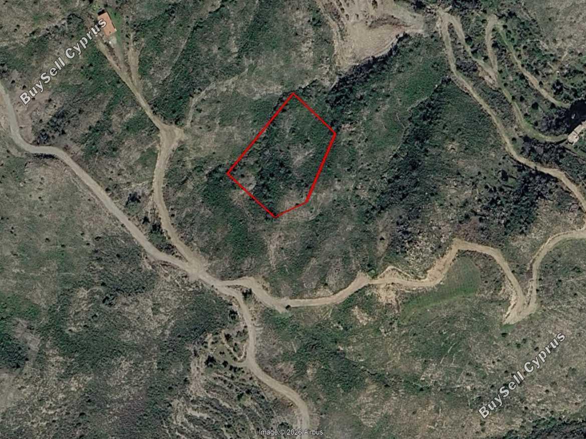land for sale ora larnaca 8833545 image 17005459