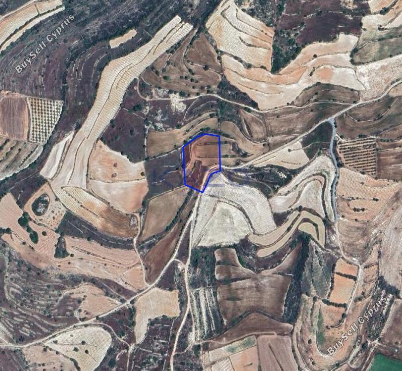 land for sale pachna limassol 8156545 image 13482513