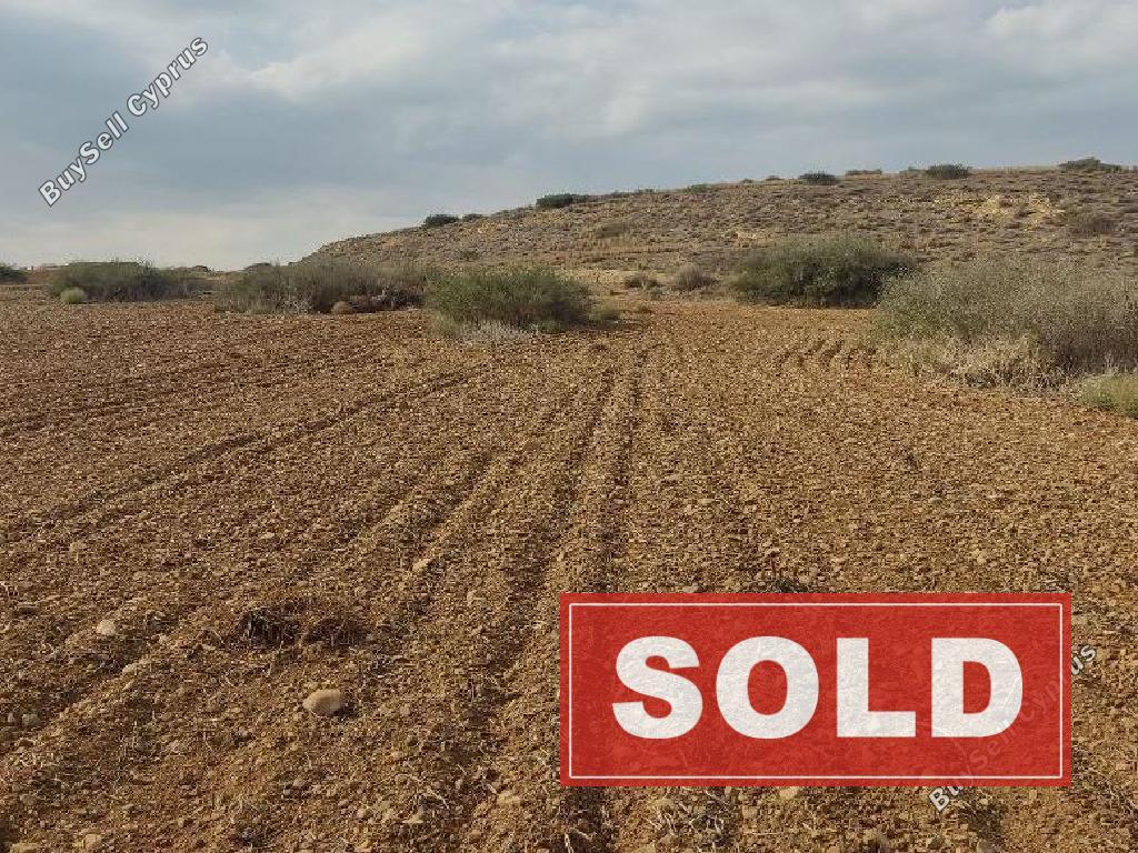 land sold pera chorio nisou nicosia 1244545 image 7203613