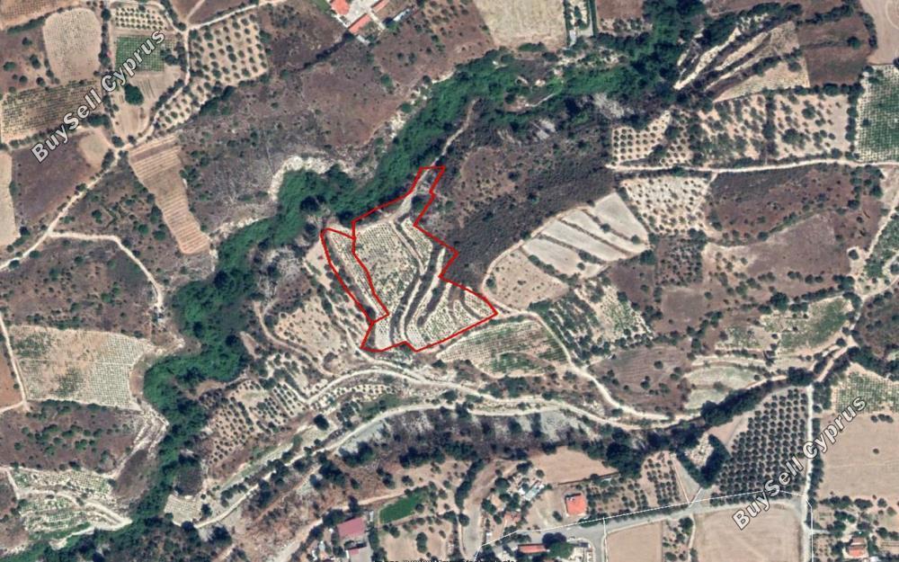 land for sale doros limassol 828645 image 11082239