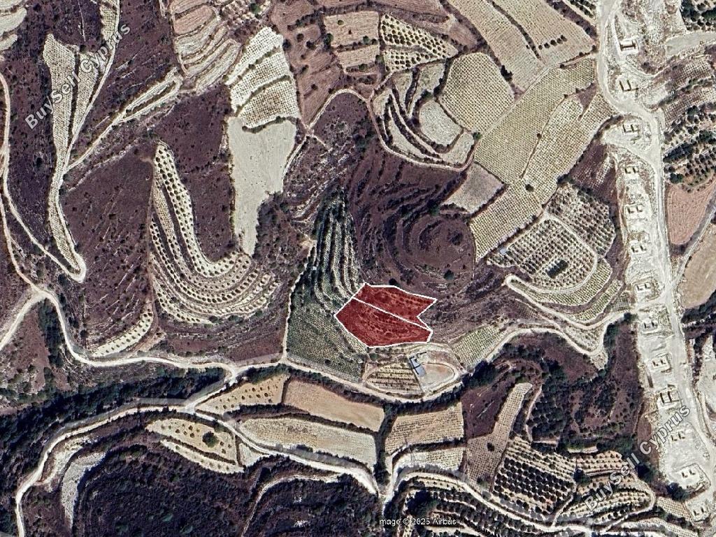 land for sale koili paphos 8628645 image 16717434