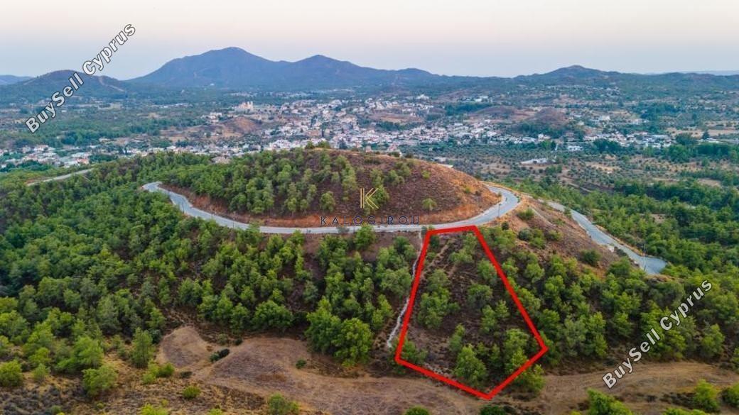 land for sale kornos larnaca 1194645 image 5568862