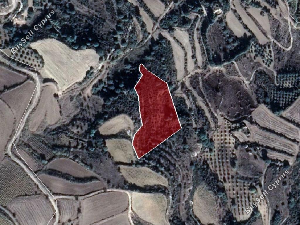 land for sale stroumbi paphos 824645 image 15598584
