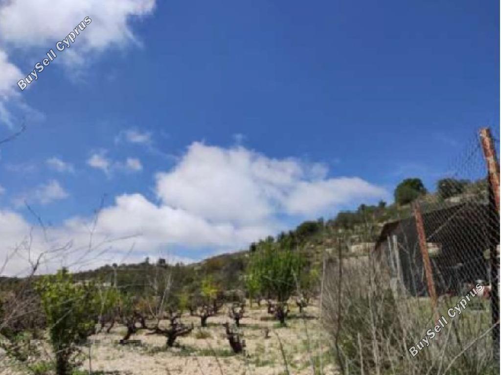 land off market koili paphos 8628645 image 16717437