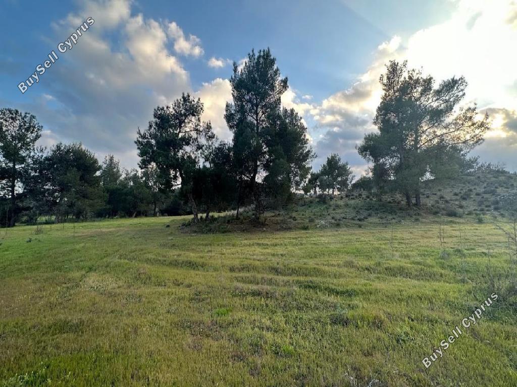 plot for sale lythrodontas nicosia 1908645 image 7359440