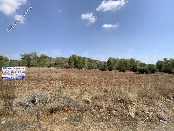 land for sale mosfiloti larnaca 7870745 image 11379168