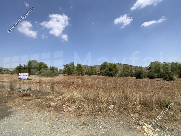 land for sale mosfiloti larnaca 7870745 image 11379170