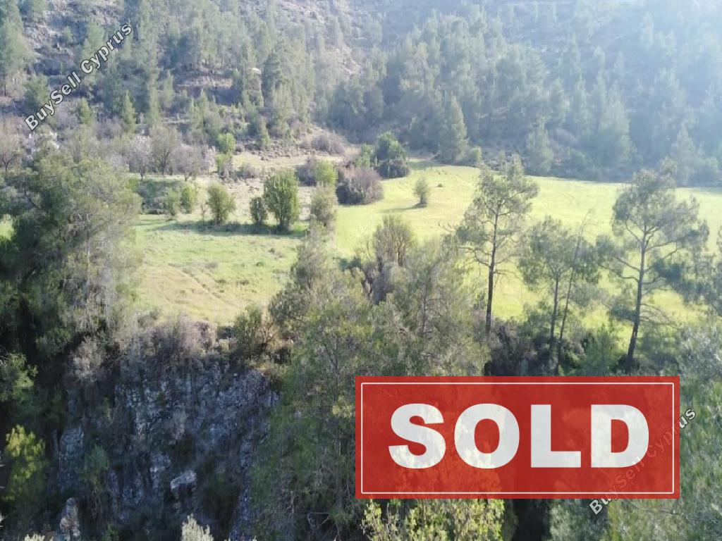 land sold kalo chorio oreinis nicosia 945745 image 847632