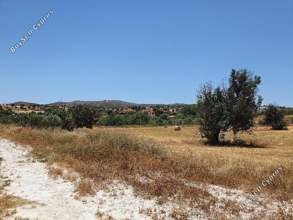plot for sale skarinou larnaca 8145745 image 15277471