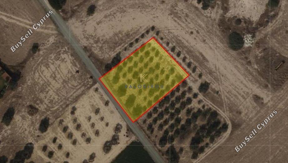 land for sale mazotos larnaca 1593845 image 5701804