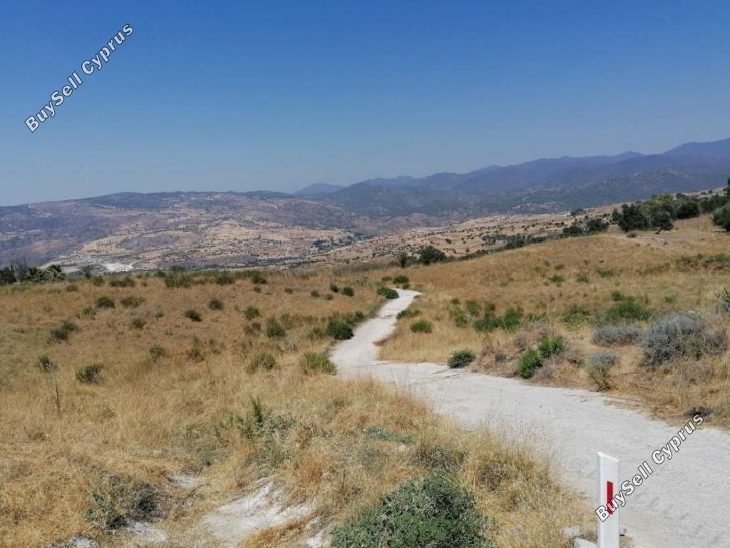 3679 SQM Land for sale in Lasa, Paphos 15599633