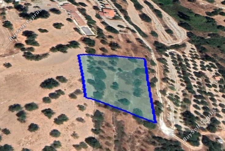 3108 SQM Land for sale in Prastio Avdimou, Limassol 5889146