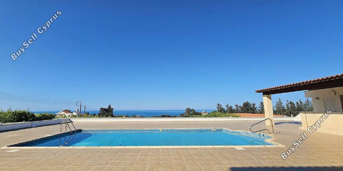 8 bedroom detached house for rent peyia paphos 8625945 image 15840760