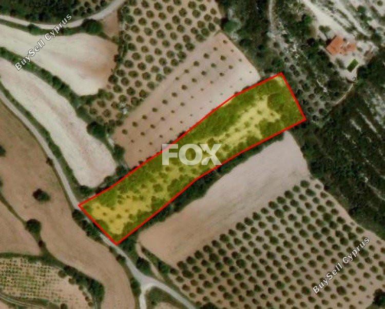 land for sale armou paphos 1160055 image 5535419