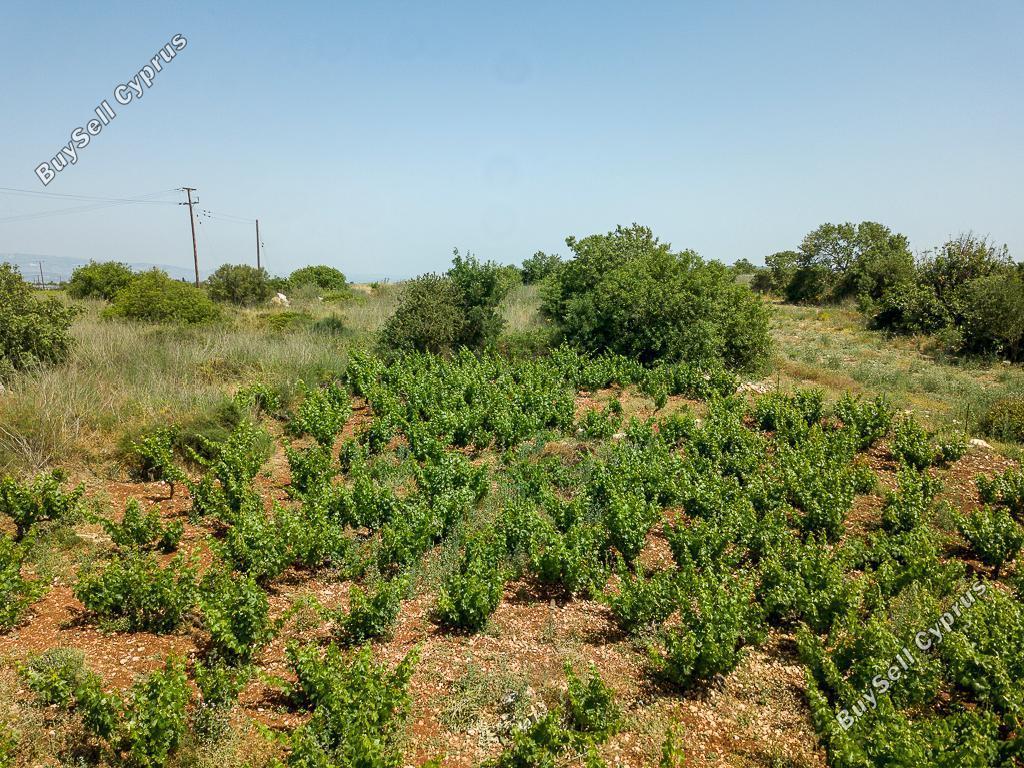 land for sale ineia paphos 823055 image 15599883