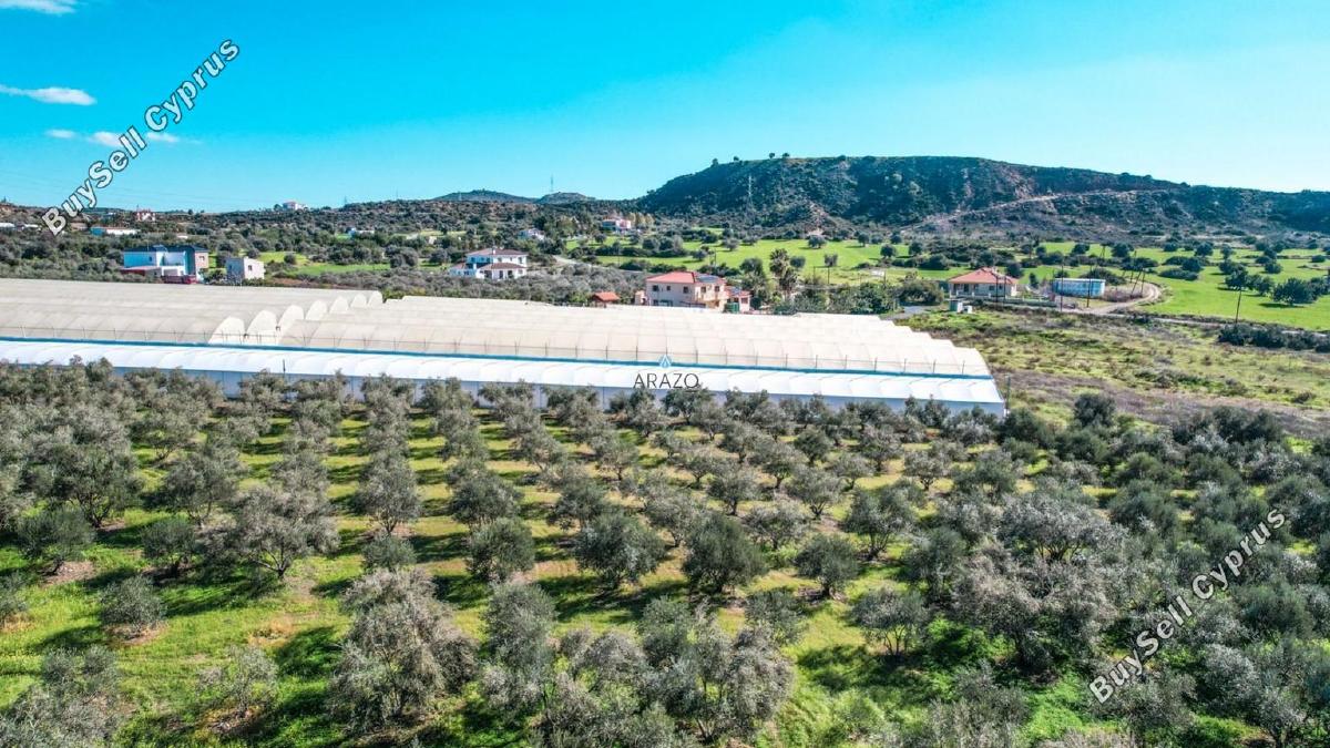 land for sale choirokoitia larnaca 982155 image 5609864