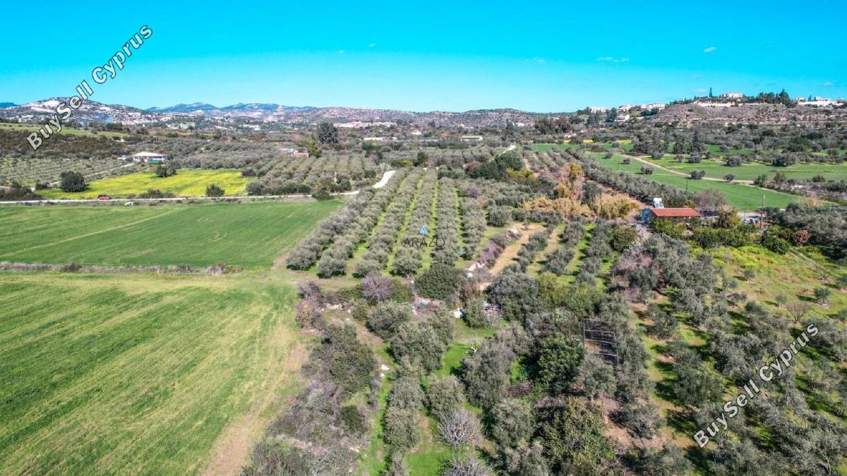 land for sale choirokoitia larnaca 982155 image 5609878