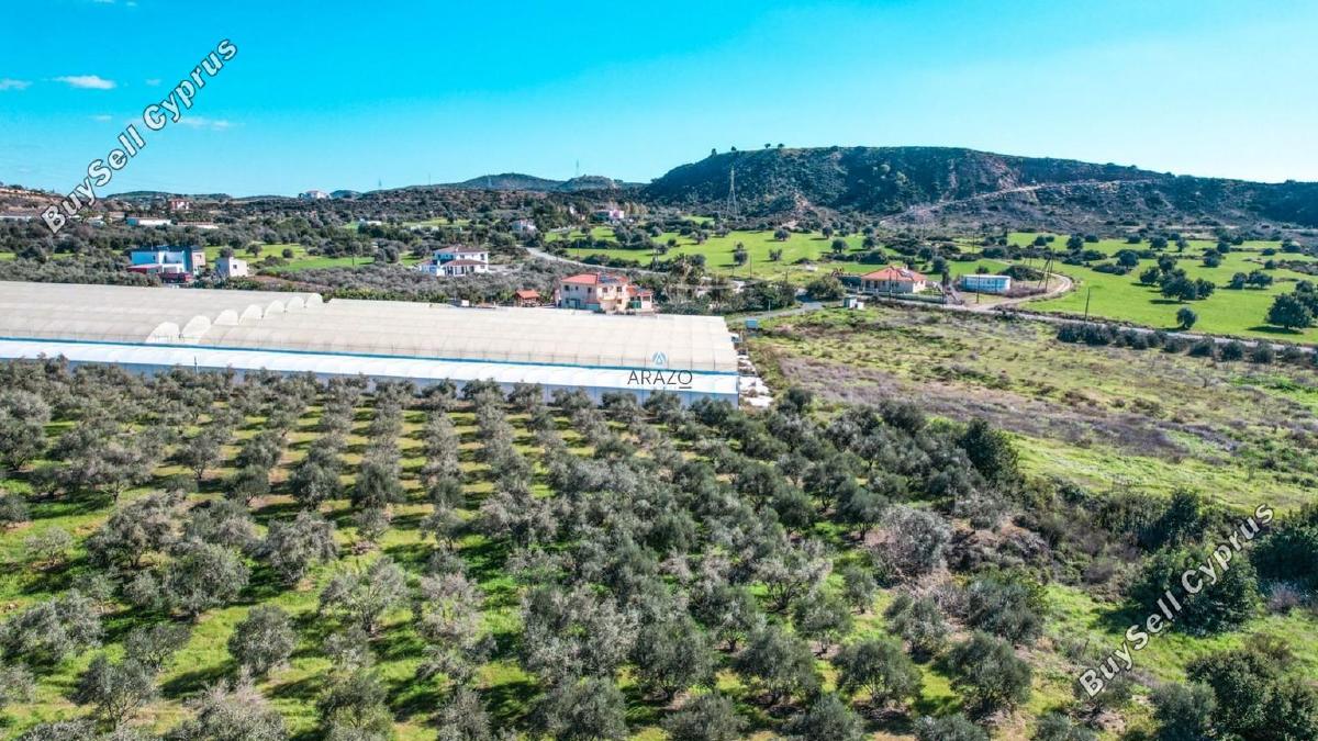 land for sale choirokoitia larnaca 982155 image 5609891