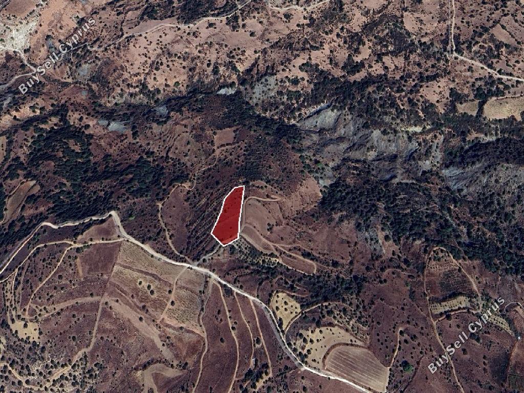 land for sale statos agios fotios paphos 1785155 image 15597614