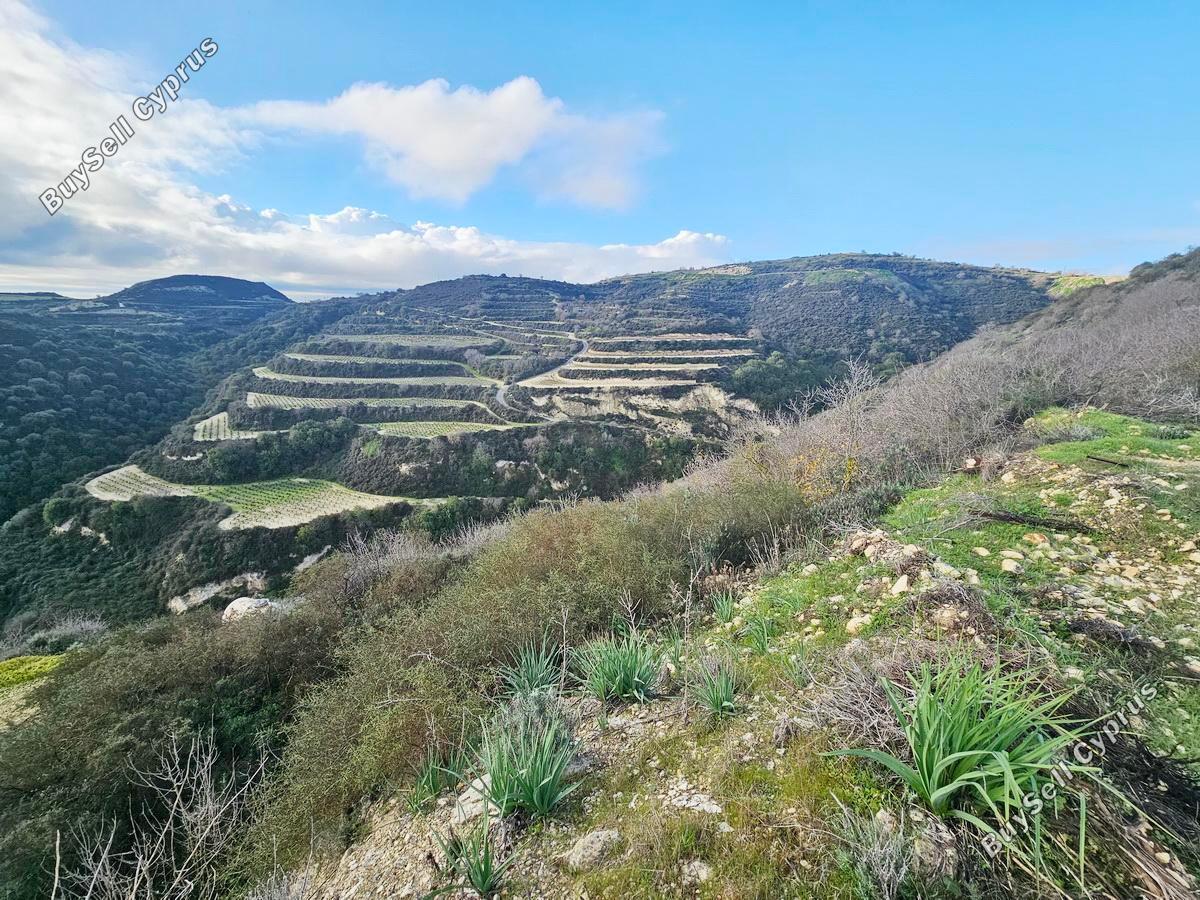 land for sale theletra paphos 1661155 image 4264963