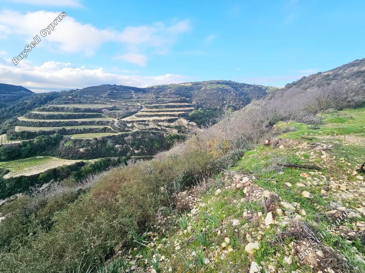 land for sale theletra paphos 1661155 image 4264965