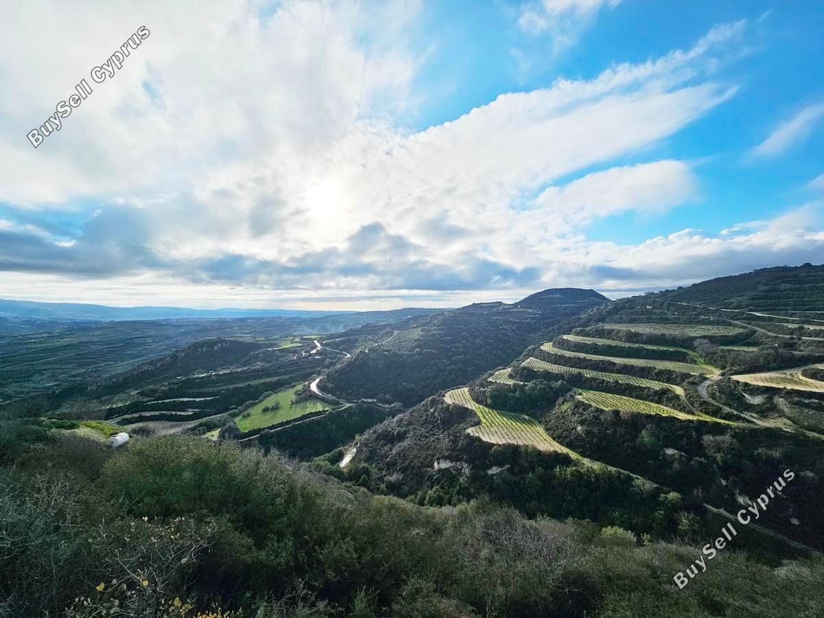 land for sale theletra paphos 1661155 image 4264970