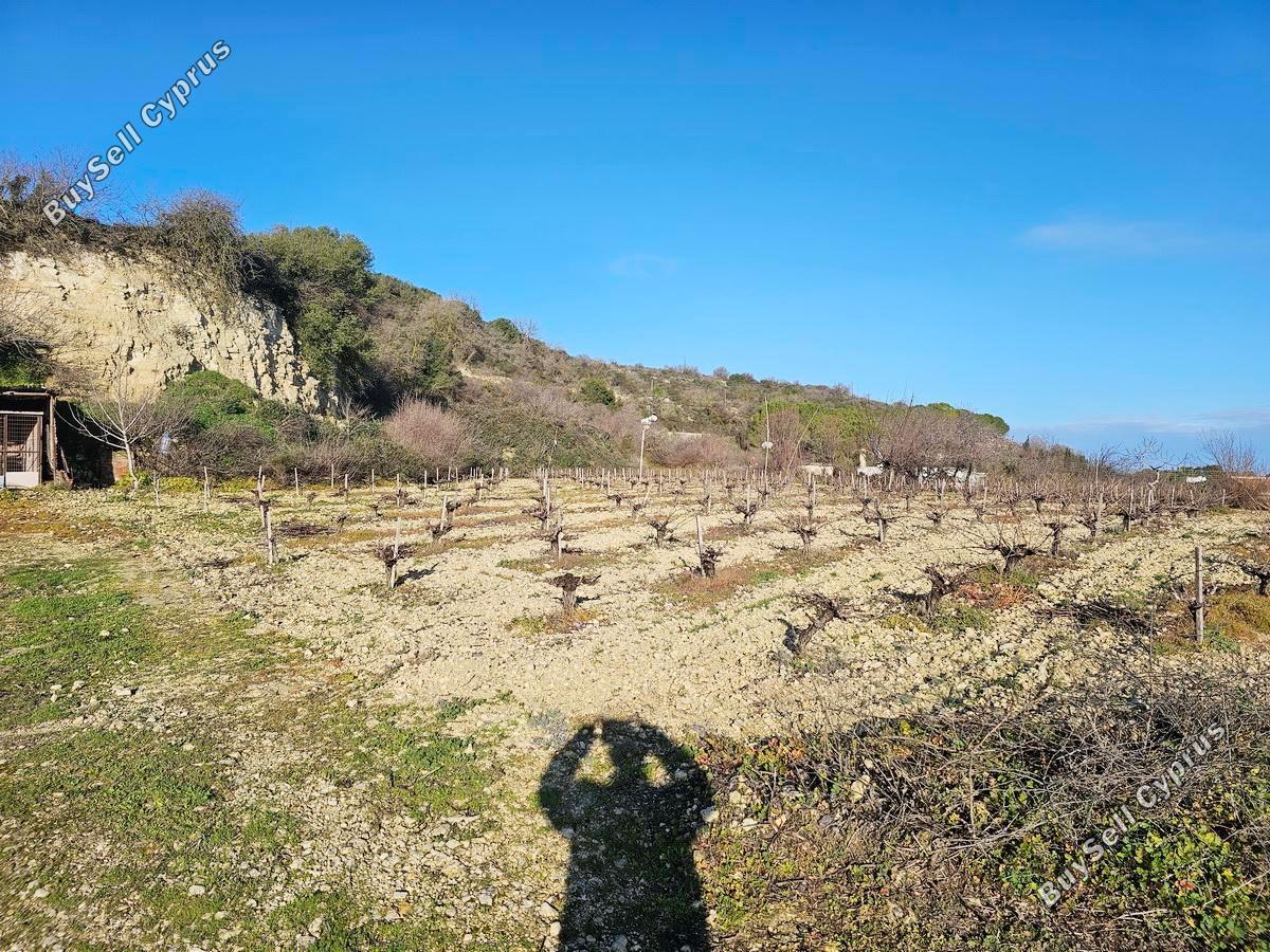 land for sale theletra paphos 1661155 image 4264974