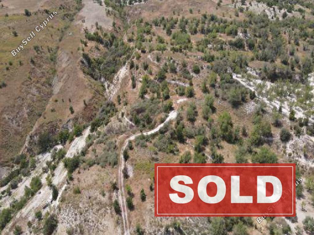 land sold episkopi pafou paphos 1767155 image 4881243