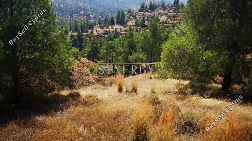 land for sale agios theodoros soleas nicosia 1011255 image 17433416