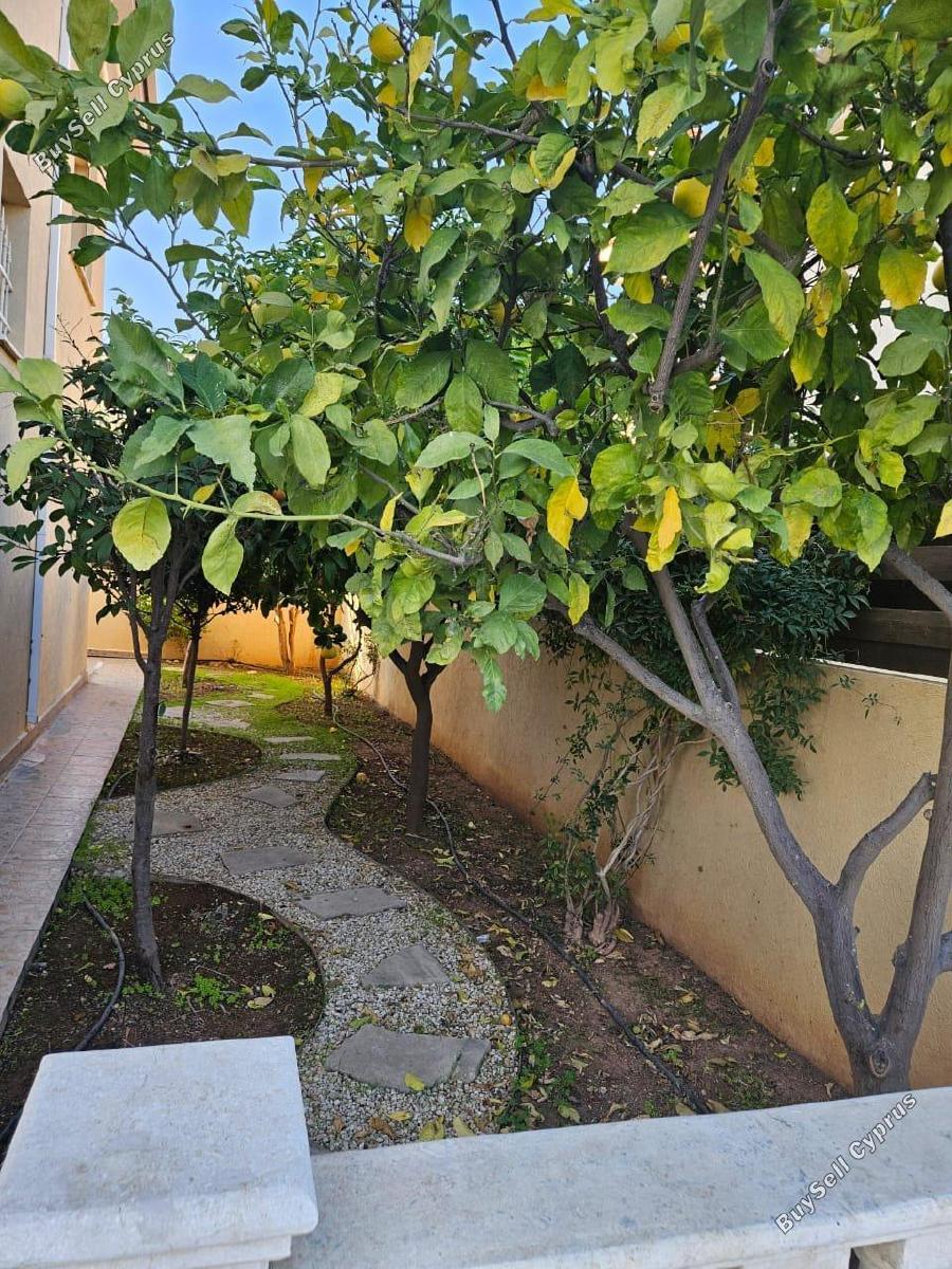 6 bedroom detached house for rent potamos germasogeias limassol 8022355 image 16232446