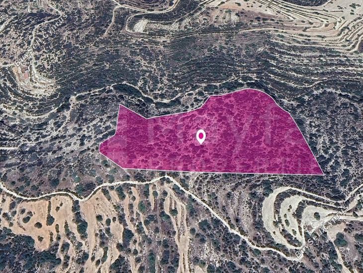 land for sale apesia limassol 7872355 image 14116233
