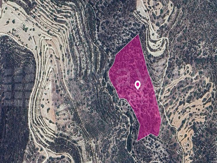 land for sale apesia limassol 7872355 image 14116239
