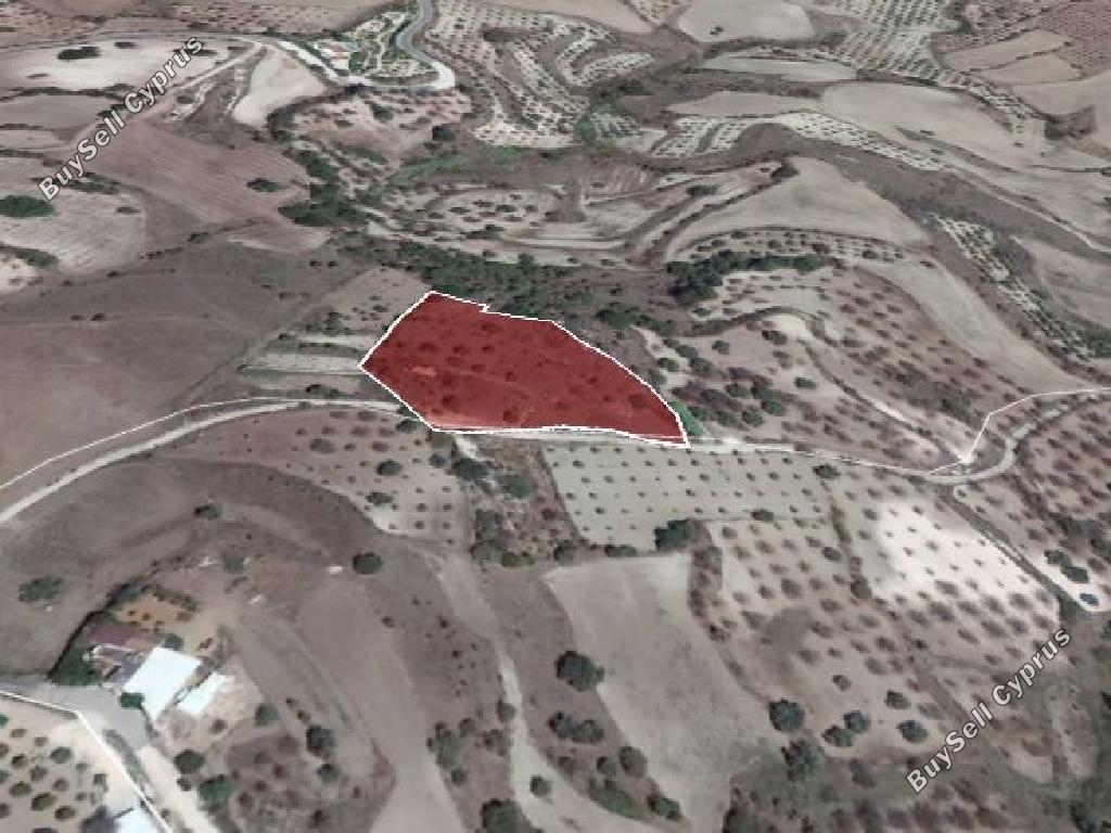 land for sale simou paphos 946355 image 16009349