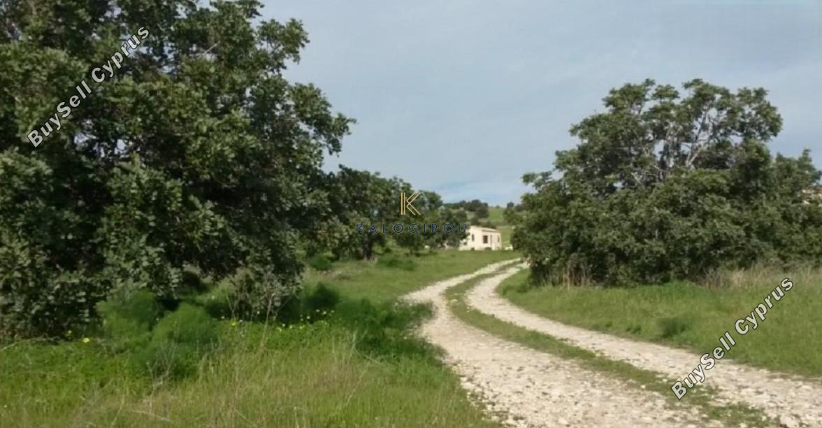 land for sale alaminos larnaca 7986455 image 11945078