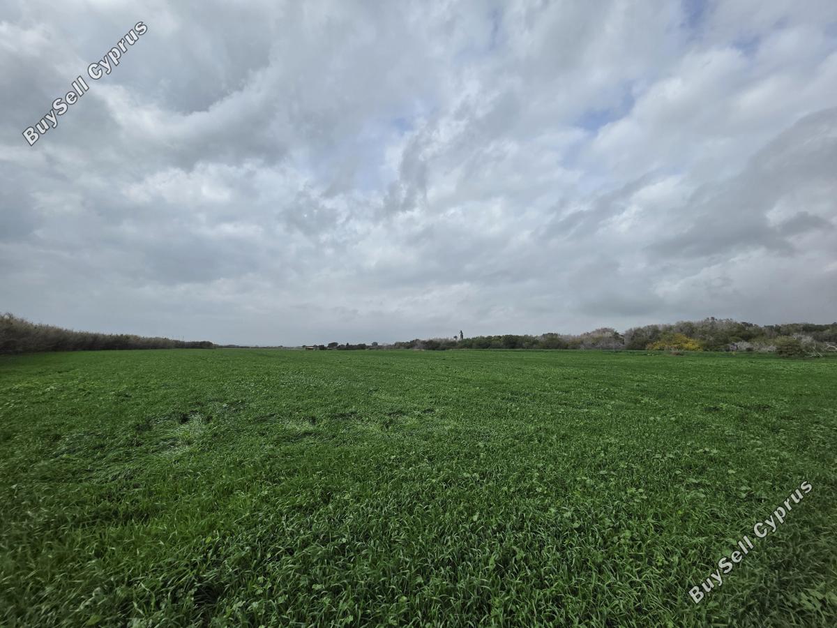 land for sale ormideia larnaca 8307455 image 14134820
