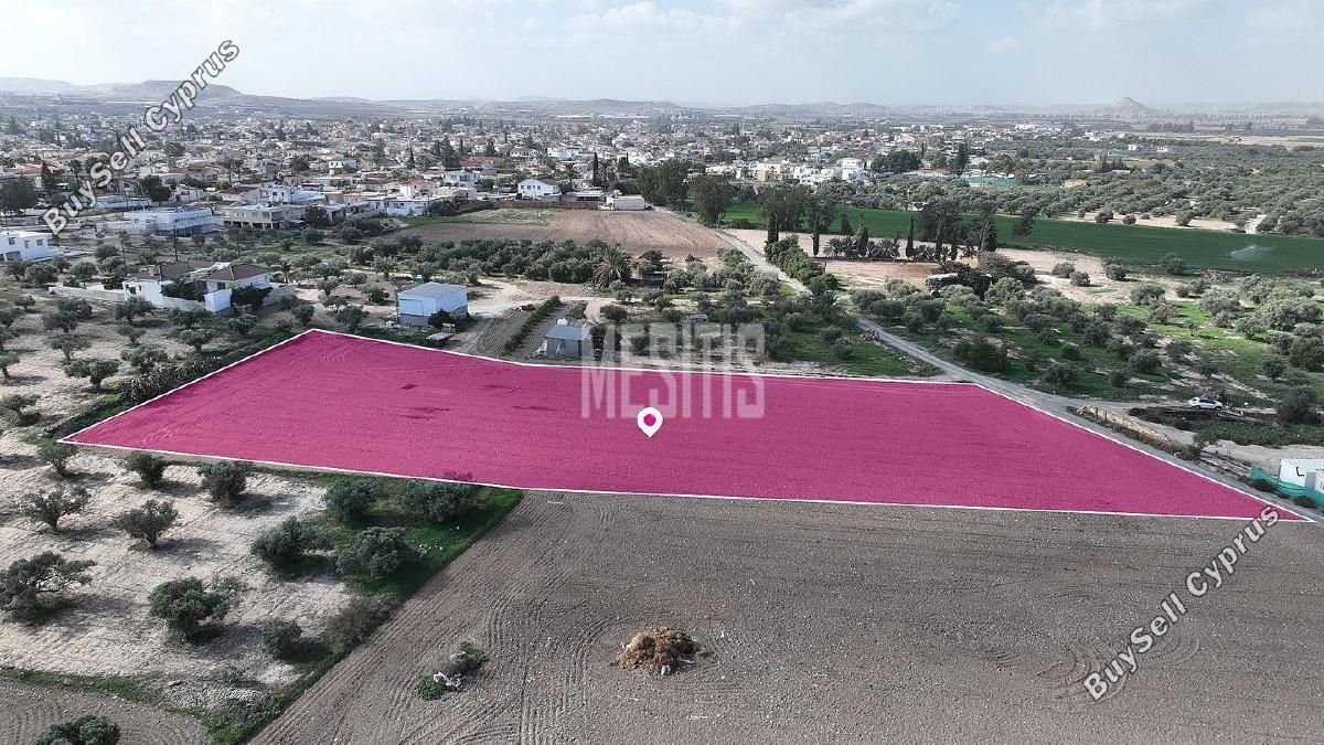 plot for sale athienou larnaca 1313455 image 10497504