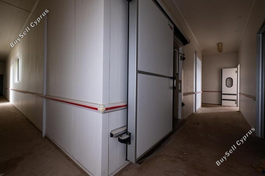 studio warehouse for sale tremithousa paphos 7737455 image 16629373