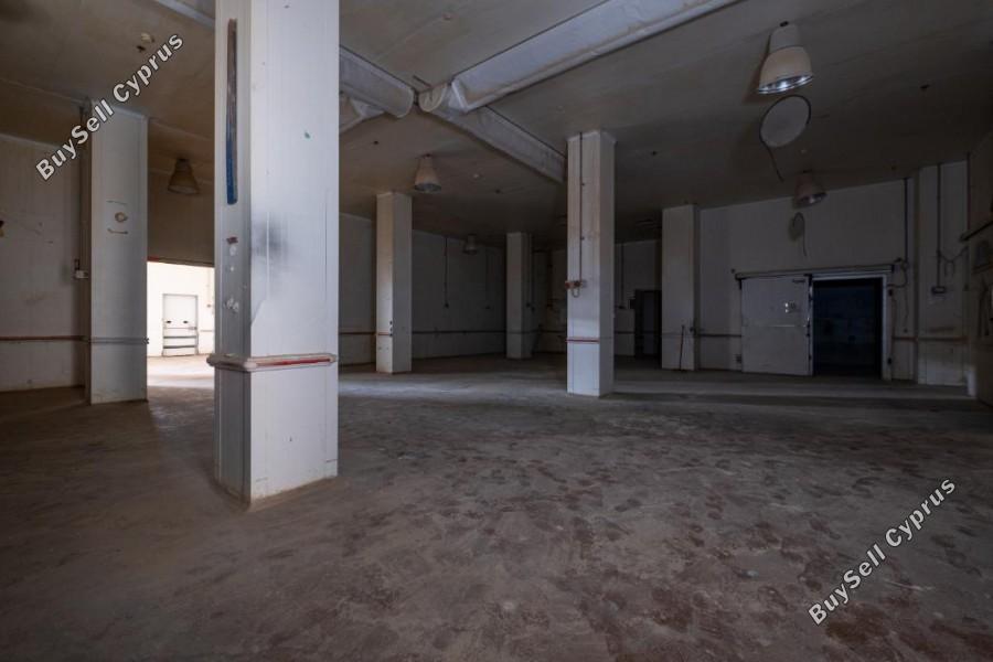 studio warehouse for sale tremithousa paphos 7737455 image 16629389