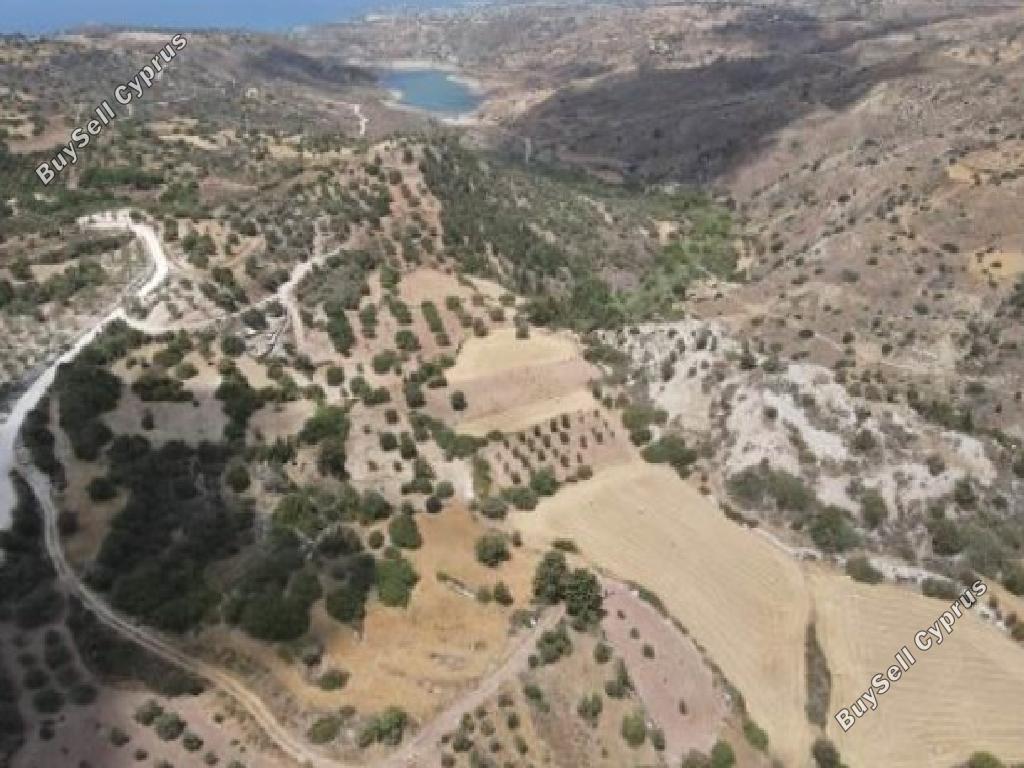 land for sale koili paphos 7805555 image 15596359