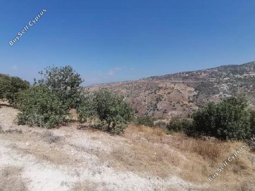 land for sale koili paphos 7805555 image 15596360