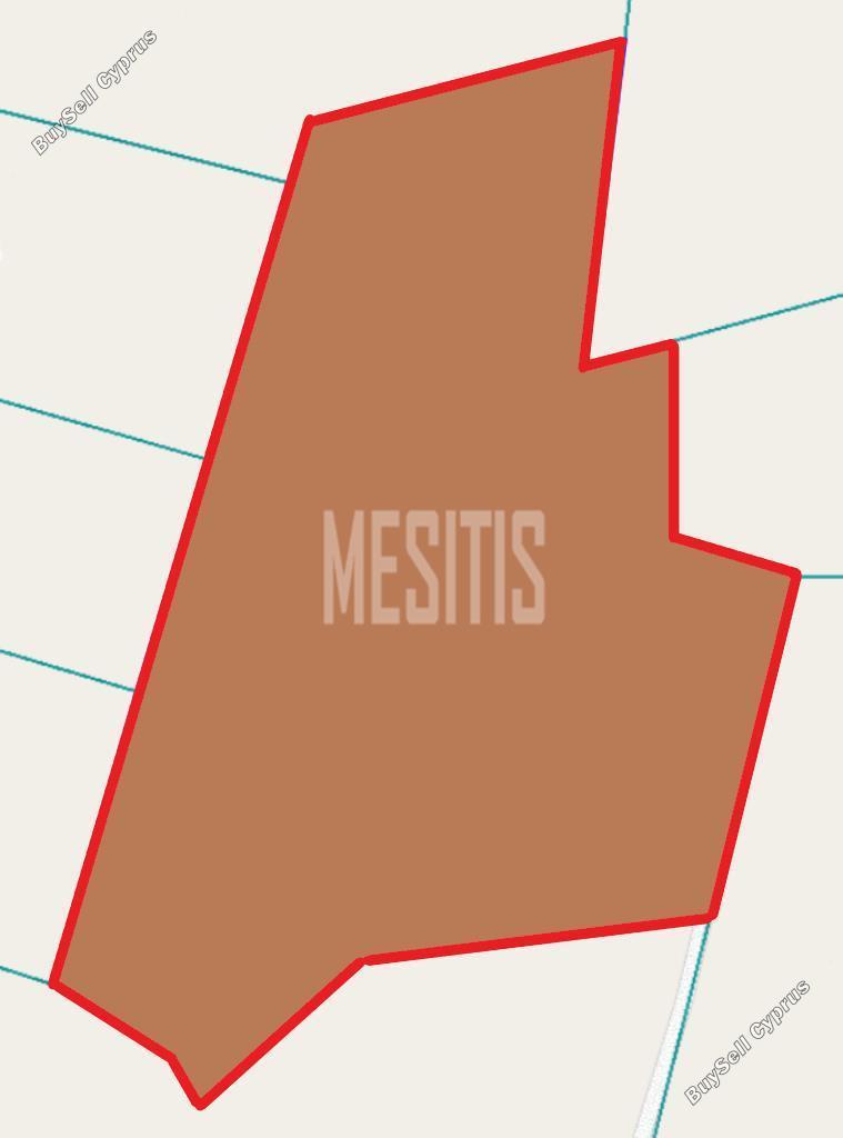 plot for sale mazotos larnaca 8903555 image 17388276
