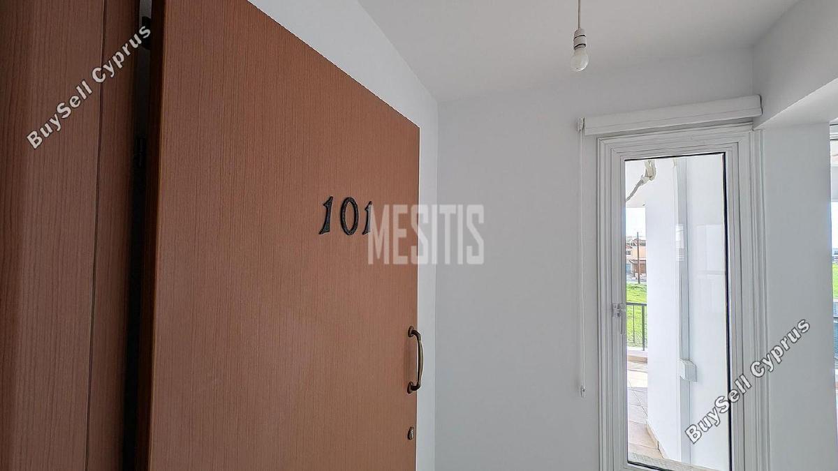 studio building for sale kiti larnaca 8772555 image 16600424